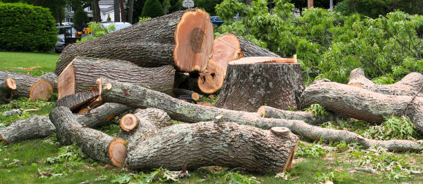 Best Lot and Land Clearing  in Santa Nella, CA